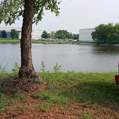 Earth city building pond